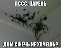 Пушистый гость