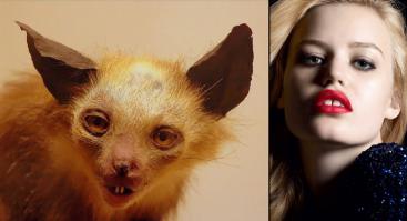 Таксидермисты жгут