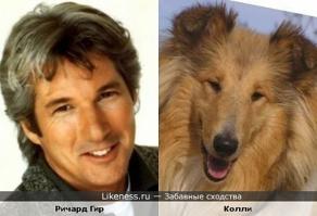 Автор. Ты вроде ошибся, назвав собаку на лошади "колли". Колли - это такие рыжие волосатые собаки, с длинной мордой, похожие на Ричарда Гира.