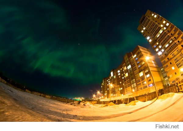 видео: 
фото: