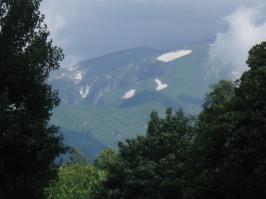 Снежник в виде сердца. Плато Лаго-Наки
Лотосы, Ахтанизовский лиман..