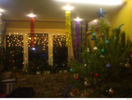 Моя Новогодняя елка