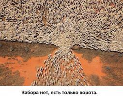 Удивительно, для детей нет никаких ограничений, рамок, предрассудков, которые приобретают взрослые в течении жизни. Захотел и сделал, его мысли ничем не ограничены.