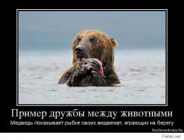 Уж спасает рыбку 