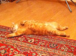 рыжая ***ня.... бесценна))))))))))))