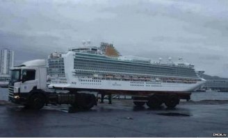 33 фотографии, снятые в идеальный момент