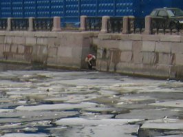 На фото даже нагадить кто-то умудрился!