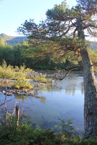 Тропинки, избы, указатели, водокачки и кафешки - это прекрасно, но....
 Я, блин, еду в тайгу не за этим, а за УЕДИНЕНИЕМ от цивилизации. Компас, планшет (не электронный, а с картами бумажными), сублиматы, верный ружбан с 4 десятками патронов, котелок, палатка, спальник, остальное по сезону - и вперед, и без тропинок пройдем и постков...
Вот как-то так... нет там людей... и не надо...