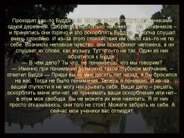 Фишкина солянка за 07.11.2014 