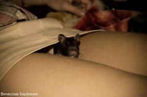 конечно в теплой норке