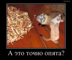 Таможня находит добро 