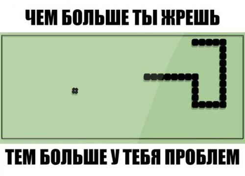 Фраза, заставившая человека поменять свои взгляды на лишний вес