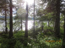 Красотень!
Но вообще, вот сюда бы толкового фотографа с хорошим аппаратом - и будет ничуть не хуже! 
Сейдозеро на Кольском п-ве, этим летом