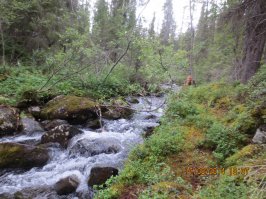 Сейдозеро, Кольский п-ов, этим летом, хороший бы аппарат, а к нему хорошего фотографа:), не хуже бы смотрелось: