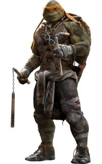 Последствия столкновения спорткара и черепахи