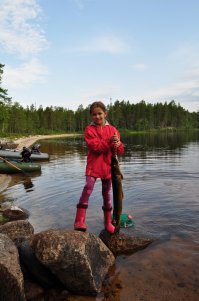 на первой фото жабенок на 2,7кг. За все свои 32 года ни разу в нашей речке такие не попадались ни в сети, ни в верши. на второй- Карелия прошедшим летом