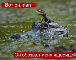 Побег из пасти крокодила