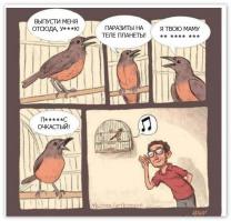 Картинки со смешными подписями