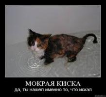 В буквальном смысле