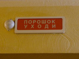 Про Путина и про дятла с поломанным клювом