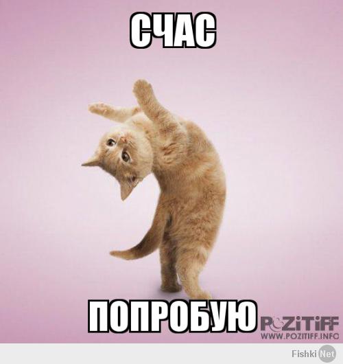 Подборка видео от 20.01.2014 