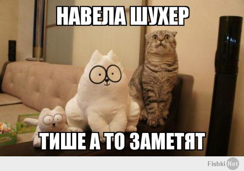 Подборка видео от 28.01.2014