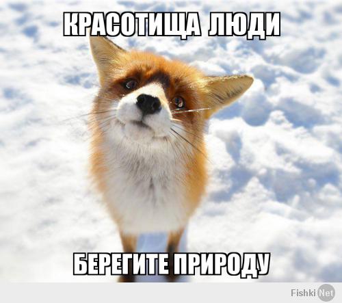 Подборка видео от 10.02.2014