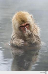 В нужный момент