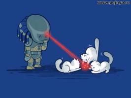 Подборка видео от 28.05.2014