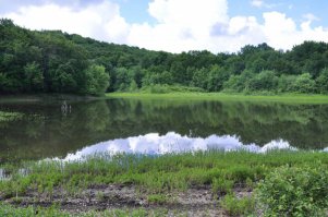 Кутузовское озеро--- КРЫМ