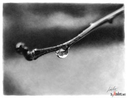 я просто абажаю рисунки простым карандашом :)