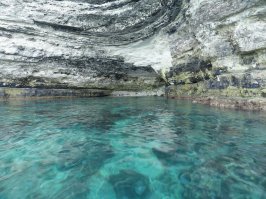 Отдых в Крыму это не рестораны!!! А природа, море и дайвинг!!!