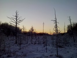 Снимки, которые доказывают, что нет лучшего художника, чем природа