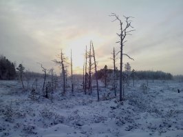 Снимки, которые доказывают, что нет лучшего художника, чем природа