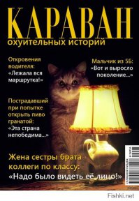 А вы знали, что...