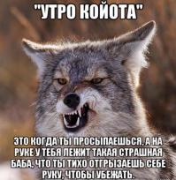 Руководствуясь принципом, Бог увидит - лучше даст, при наличии здоровья, алкоголя и свободного времени можно уконтропупить любого дракона...потом "Утро койота"