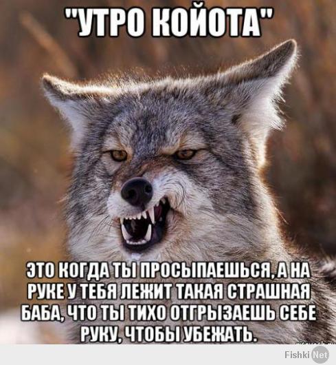 Руководствуясь принципом, Бог увидит - лучше даст, при наличии здоровья, алкоголя и свободного времени можно уконтропупить любого дракона...потом "Утро койота"