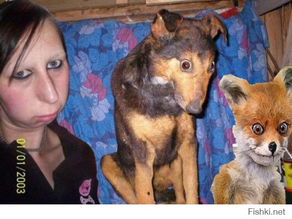 Хозяева и их собаки  