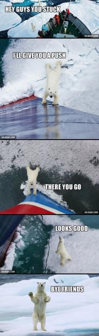 Если вы помните, в конце декабря российский ледокол "Академик Шокальский" застрял во льдах.
Как писала пресса, толщина льда оказалась больше ожидаемого и ледокол зажало...
Ему на помощь отправились китайский, французский и австралийский корабли, но все тоже застряли
во льдах. Новый год экипажи кораблей встречали среди льдов...Потом пришло сообщение, что наш ледокол освободился сам. Якобы льды разошлись...
Последний факт вызвал недоумение у человечества, но дело замяли за радостью события.

Правду о чудесном освобождении ледокола знает только Мишка!  
На самом деле ледокол "Академик Шокальский" подтолкнул полярный медведь.