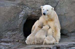 Добрые фотографии