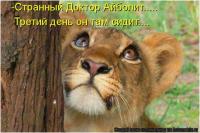  Животные у ветеринара