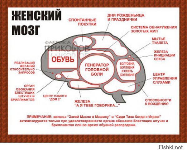  33 потрясающих факта о том, что происходит у нас в голове