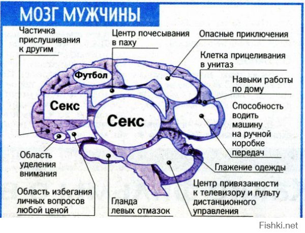  33 потрясающих факта о том, что происходит у нас в голове