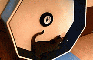 О Боги! Это же ВЕЧНЫЙ ДВИГАТЕЛЬ!!!!!!