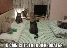мне вот интересно посмотреть на их ванную...