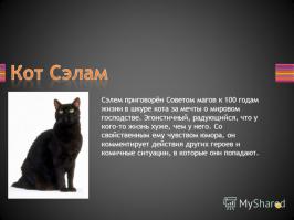 Ага заколдованные кошаки существуют