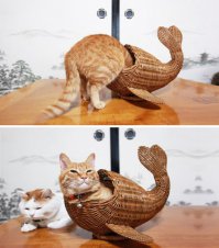Не кит и не кот, русалКО