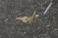 В России найден камень с микрочипом, которому 250 млн лет