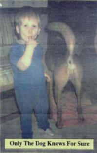 Надпись на картинке:
только собака знает наверняка.