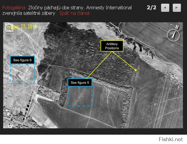 На сайте Международной амнестии (организация такая) 
В описании снимков сказано, что это Старобешевский район Донецкой области, недалеко от границы с Россией.
Вот такую картинку на ту же тему с одного польского сайта сдернул.